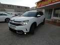 Citroen C5 Aircross BlueHDi S&S Feel 130 Blanco - thumbnail 3
