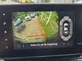 Nissan Primastar Kombi9 L1H1 2,8t dci150 MT TEKNA 2ST HK BES+ Desig Noir - thumbnail 9