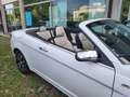 Lancia Flavia Flavia 2012 2.4L 170cv CABRIO Blanco - thumbnail 22