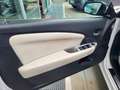 Lancia Flavia Flavia 2012 2.4L 170cv CABRIO Blanco - thumbnail 12