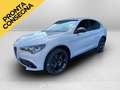 Alfa Romeo Stelvio 2.2 t veloce q4 210cv auto Grigio - thumbnail 1