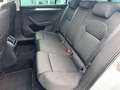 Skoda Superb Combi Style 4x4/Pano/Navi/Kamera/AHK Weiß - thumbnail 11