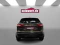 Nissan Qashqai 1.6 dCi LEDER PANO KAMERA NAVI SHZ PDC Braun - thumbnail 5