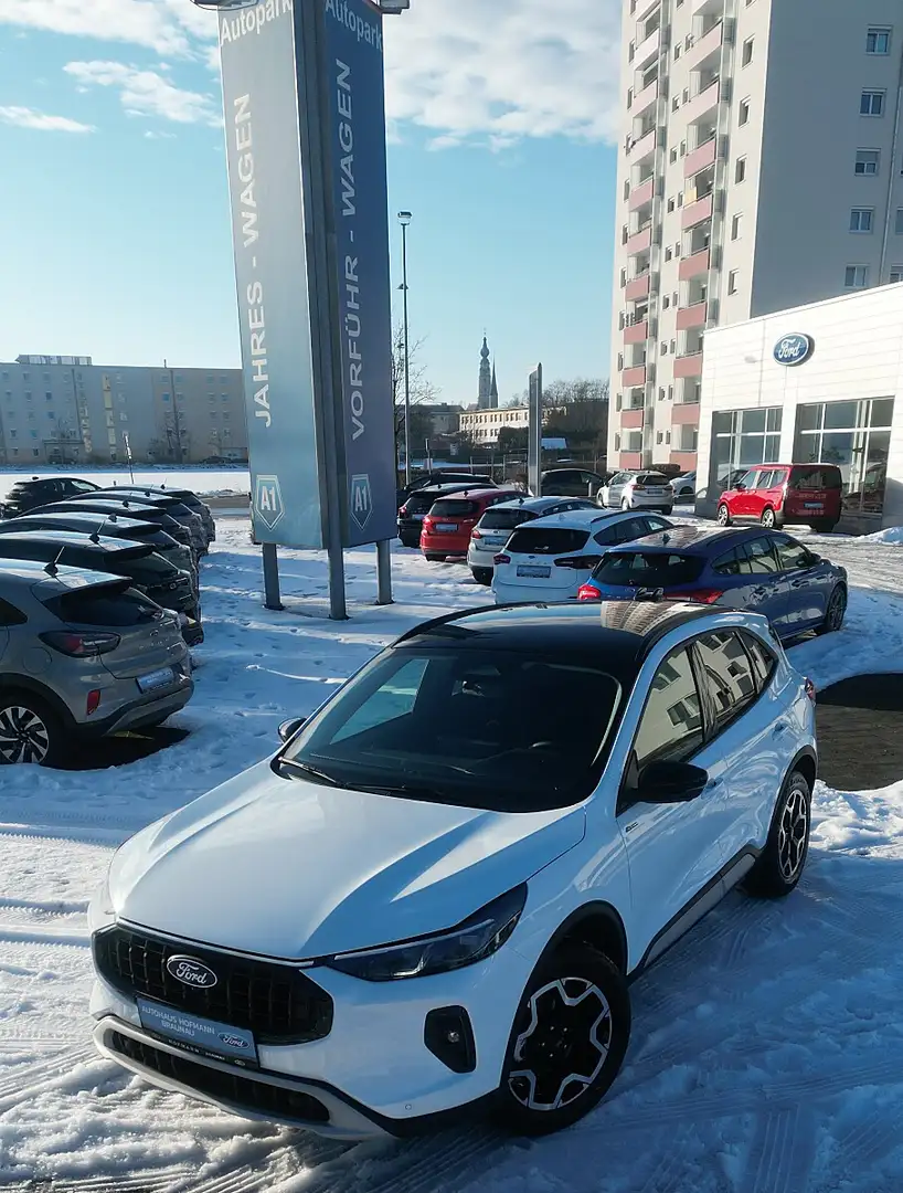 Ford Kuga 2,5 Duratec FHEV Active X Allrad Aut. Weiß - 2