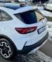 Ford Kuga 2,5 Duratec FHEV Active X Allrad Aut. Weiß - thumbnail 12