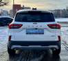 Ford Kuga 2,5 Duratec FHEV Active X Allrad Aut. Weiß - thumbnail 18