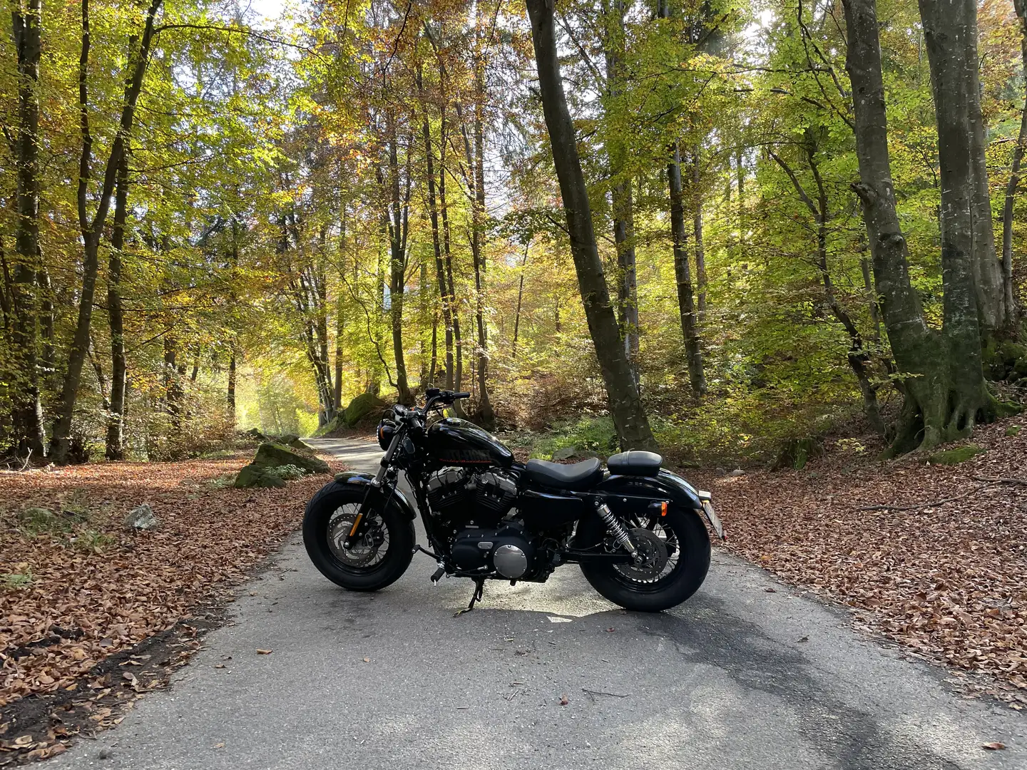 Harley-Davidson Sportster 1200 Forty Eight MY 2014 con ABS - 2