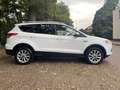 Ford Kuga 1.5 Ecoboost 150 PS TITANIUM. Weiß - thumbnail 6