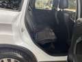 Ford Kuga 1.5 Ecoboost 150 PS TITANIUM. Weiß - thumbnail 13
