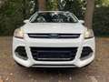 Ford Kuga 1.5 Ecoboost 150 PS TITANIUM. Weiß - thumbnail 8