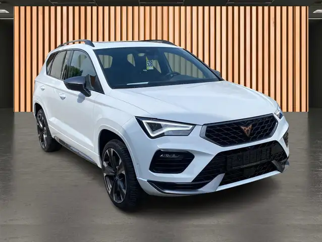 Cupra Ateca view 17