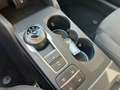 Ford Focus Focus 1.0 EcoBoost 125 CV automatico 5p. Active Co Noir - thumbnail 19