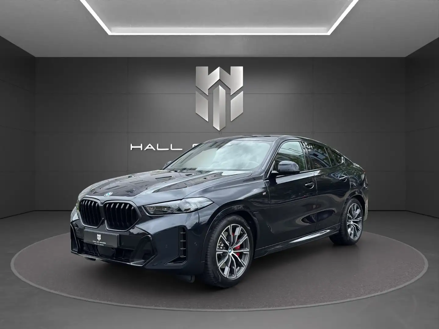 BMW X6 30 d xDrive| M-Sport Pro| LED| Sky| H&K| Luft Noir - 1