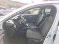 Renault Clio Evolution TCe 115PS Weiß - thumbnail 5
