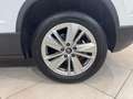 Skoda Karoq 1.5 TSI Selection ACT DSG 110KW Blanco - thumbnail 8