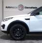 Land Rover Discovery Sport SE AWD Panorama*DAB*AHK Bílá - thumbnail 24