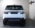 Land Rover Discovery Sport SE AWD Panorama*DAB*AHK Bílá - thumbnail 6