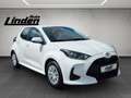 Toyota Yaris Hybrid Business Carplay Kamera SHZ Keyless Blanco - thumbnail 7