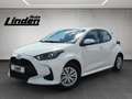 Toyota Yaris Hybrid Business Carplay Kamera SHZ Keyless Blanco - thumbnail 1