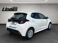Toyota Yaris Hybrid Business Carplay Kamera SHZ Keyless Blanco - thumbnail 5