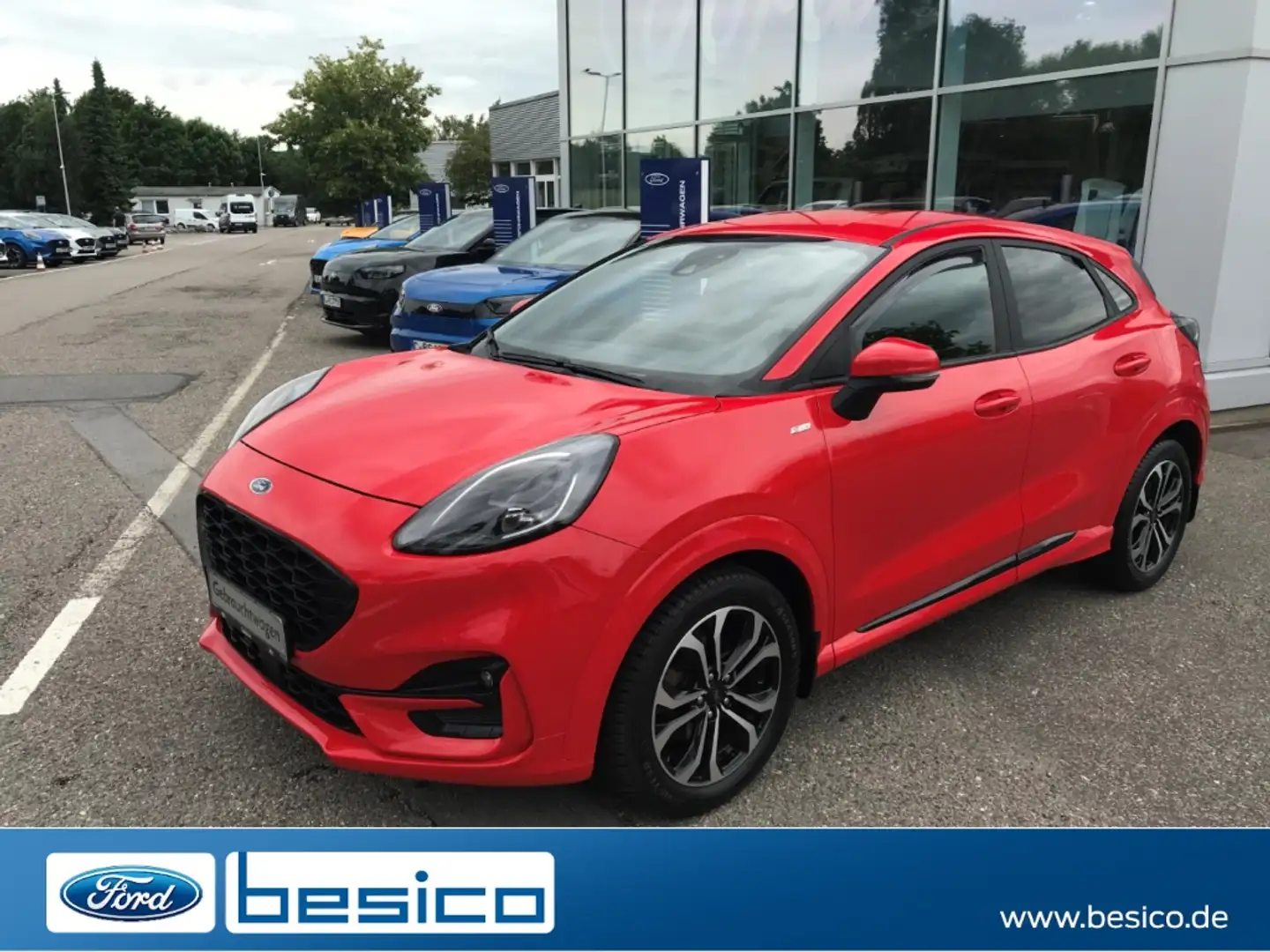 Ford Puma ST-Line MHEV+DAB+NAV+PDC+TEMP+WinterPak+LMF Rosso - 1