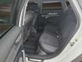 Audi A6 allroad quattro 45 TDI S tronic AHK Matrix Weiß - thumbnail 10