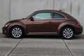 Volkswagen Beetle 1.2 TSI Exclusive Series / NAVI / PARKEERHULP / CR Bruin - thumbnail 6