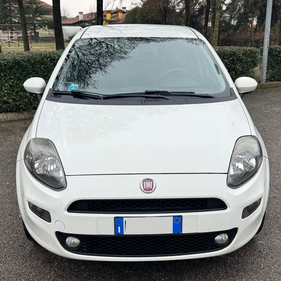 Fiat Punto Evo 5p 1.4 natural power Active 70cv - 1