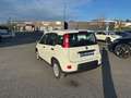 Fiat Panda 1.0 70CH BSG S\u0026S MHEV HYBRIDE Blanc - thumbnail 5