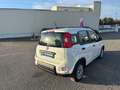 Fiat Panda 1.0 70CH BSG S\u0026S MHEV HYBRIDE Blanc - thumbnail 7