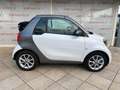 smart forTwo 1.0 71CV AUTOMATICA CABRIO PASSION SOLO 55K KM Bianco - thumbnail 5