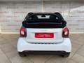 smart forTwo 1.0 71CV AUTOMATICA CABRIO PASSION SOLO 55K KM Bianco - thumbnail 7