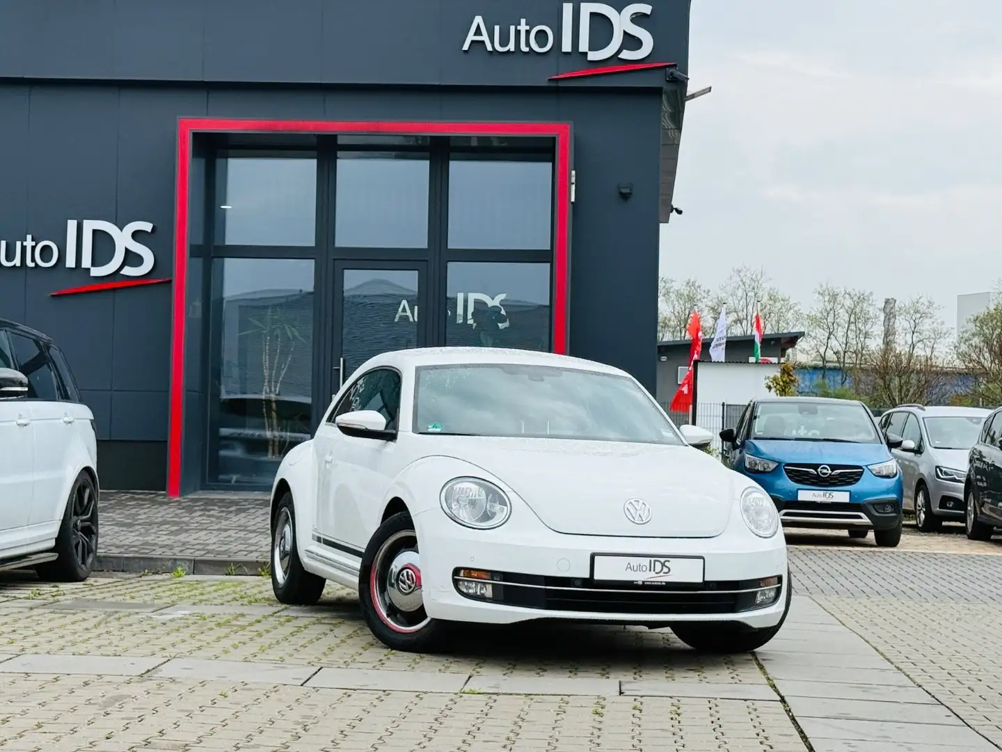 Volkswagen Beetle Lim. Cup Weiß - 1