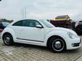Volkswagen Beetle Lim. Cup Weiß - thumbnail 3