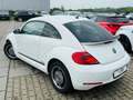 Volkswagen Beetle Lim. Cup Weiß - thumbnail 4