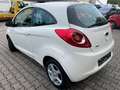 Ford Ka/Ka+ 1.3 TDCi Trend*ALU*ALLWETTER* Weiß - thumbnail 7