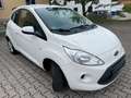 Ford Ka/Ka+ 1.3 TDCi Trend*ALU*ALLWETTER* Weiß - thumbnail 4