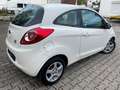 Ford Ka/Ka+ 1.3 TDCi Trend*ALU*ALLWETTER* Weiß - thumbnail 5
