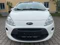 Ford Ka/Ka+ 1.3 TDCi Trend*ALU*ALLWETTER* Weiß - thumbnail 3