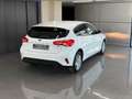 Ford Focus 1.5 Ecoblue Trend+ 120 Blanco - thumbnail 14