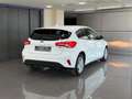 Ford Focus 1.5 Ecoblue Trend+ 120 Blanco - thumbnail 13