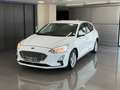 Ford Focus 1.5 Ecoblue Trend+ 120 Blanco - thumbnail 1