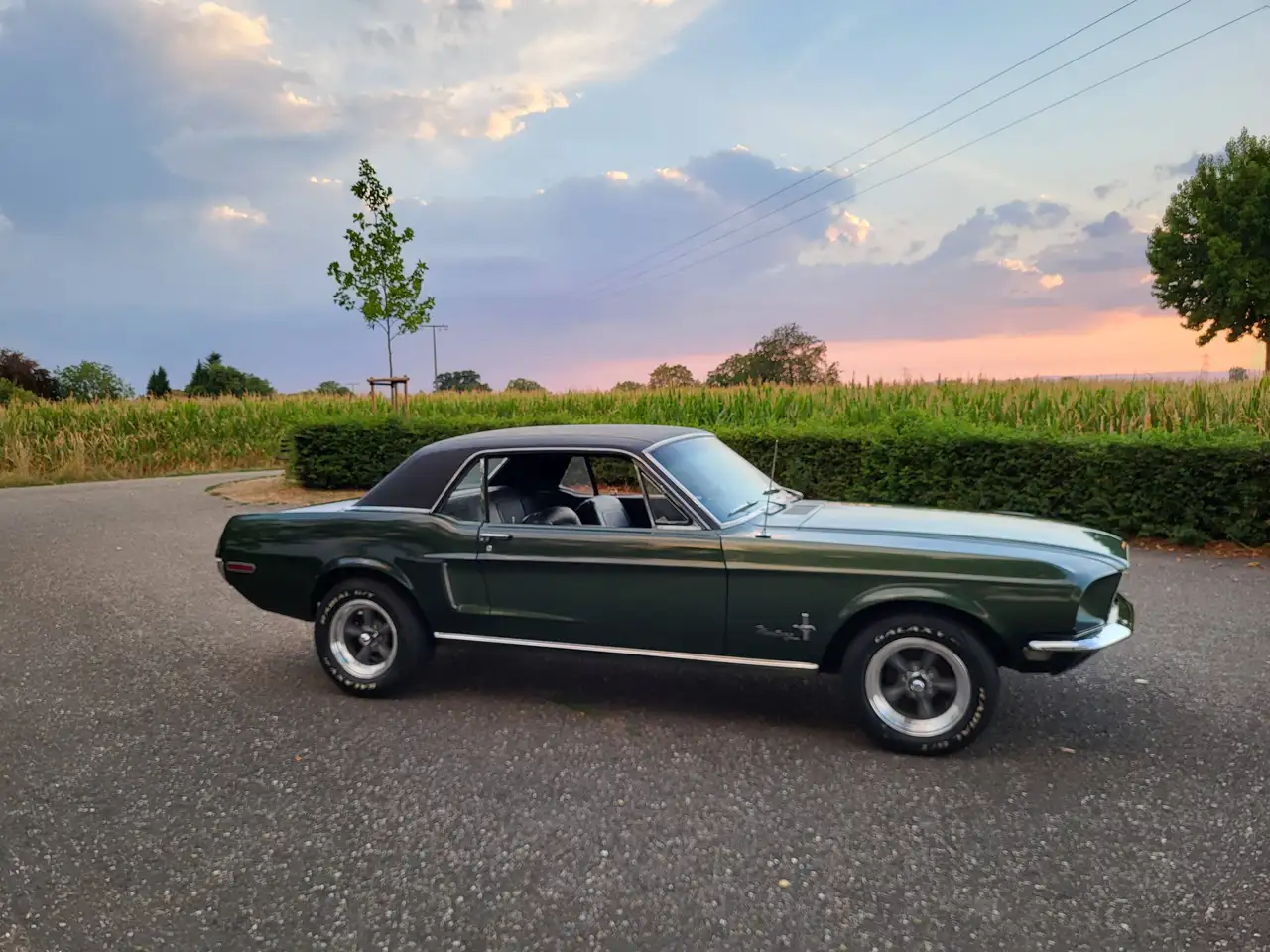 Ford Mustang Hardtop, 289ci V8, Original "Bullitt" Highland Green, California-car, foto 1