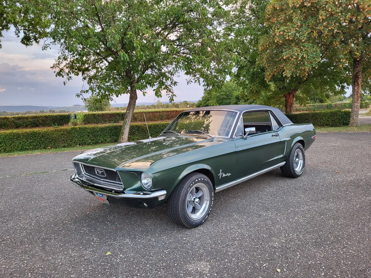 Ford Mustang Hardtop, 289ci V8, Original "Bullitt" Highland Green, California-car, foto 4