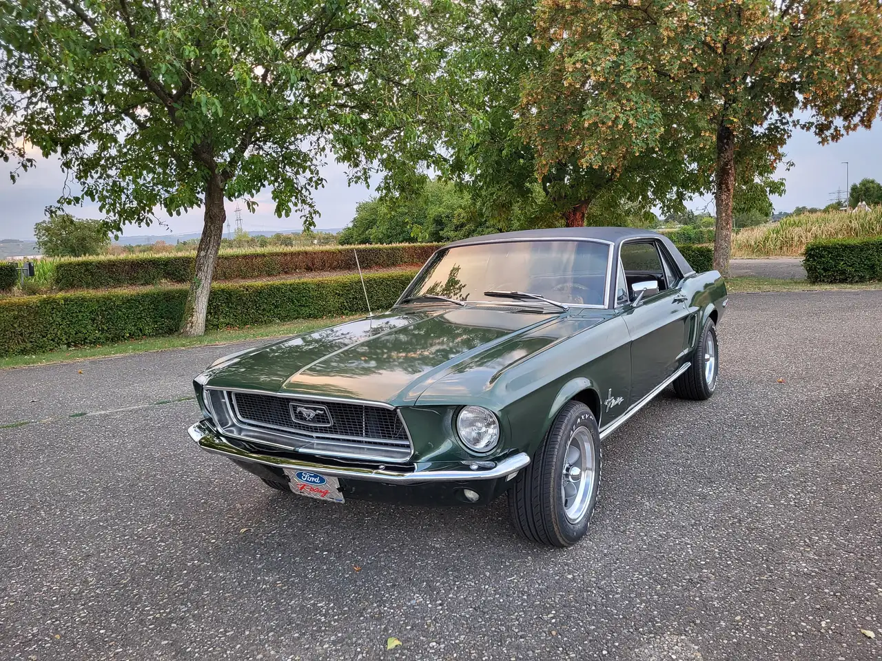 Ford Mustang Hardtop, 289ci V8, Original "Bullitt" Highland Green, California-car, foto 3