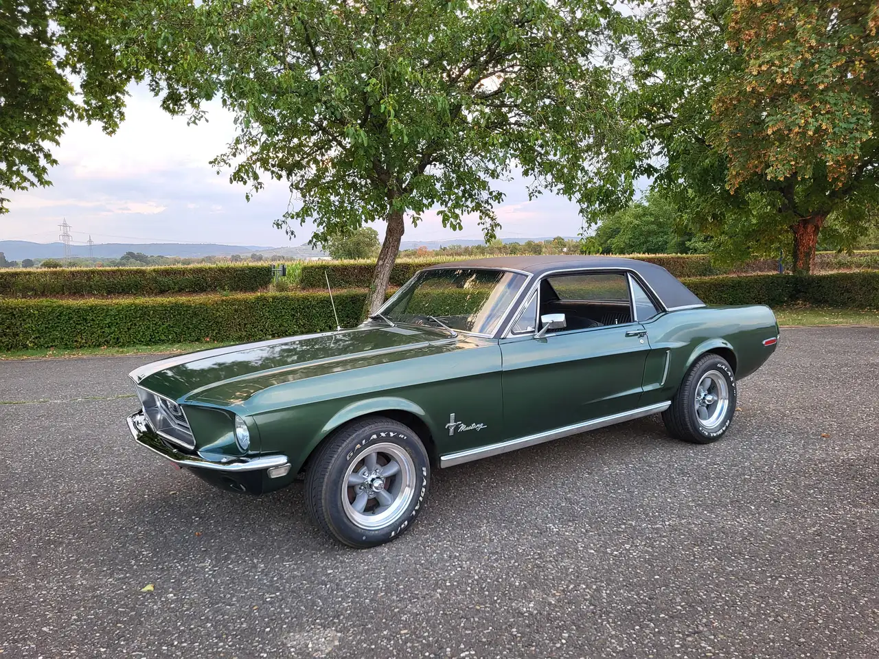 Ford Mustang Hardtop, 289ci V8, Original "Bullitt" Highland Green, California-car, foto 5