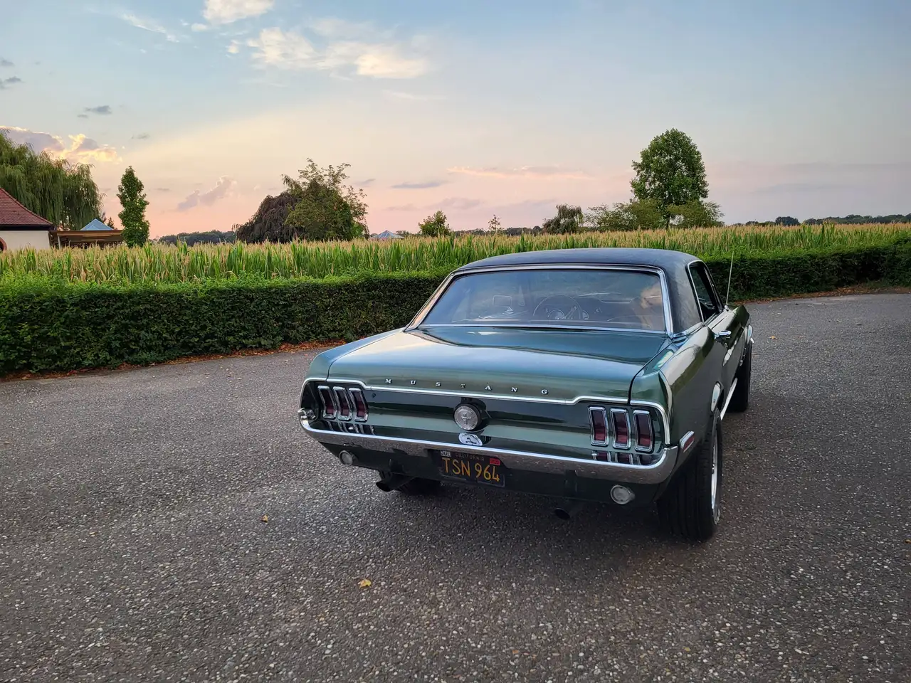 Ford Mustang Hardtop, 289ci V8, Original "Bullitt" Highland Green, California-car, foto 7
