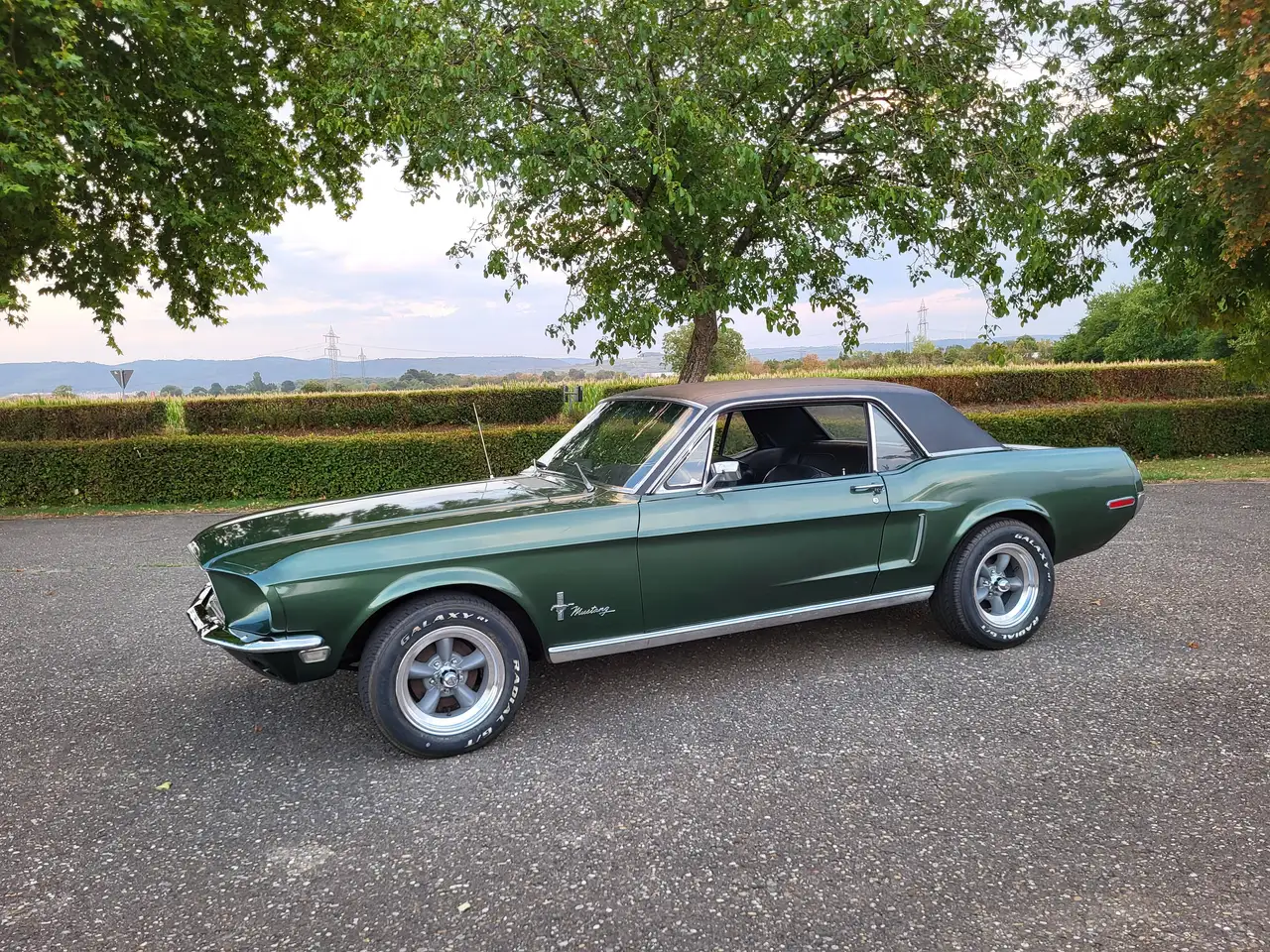 Ford Mustang Hardtop, 289ci V8, Original "Bullitt" Highland Green, California-car, foto 6