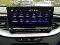 Kia ProCeed / pro_cee'd ProCeed GT 1.6T-GDI Pano+JBL+Memory Blu/Azzurro - thumbnail 23