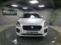 Jaguar E-Pace E-Pace D150 - AWD E-PACE R-Dynamic S Grau - thumbnail 8